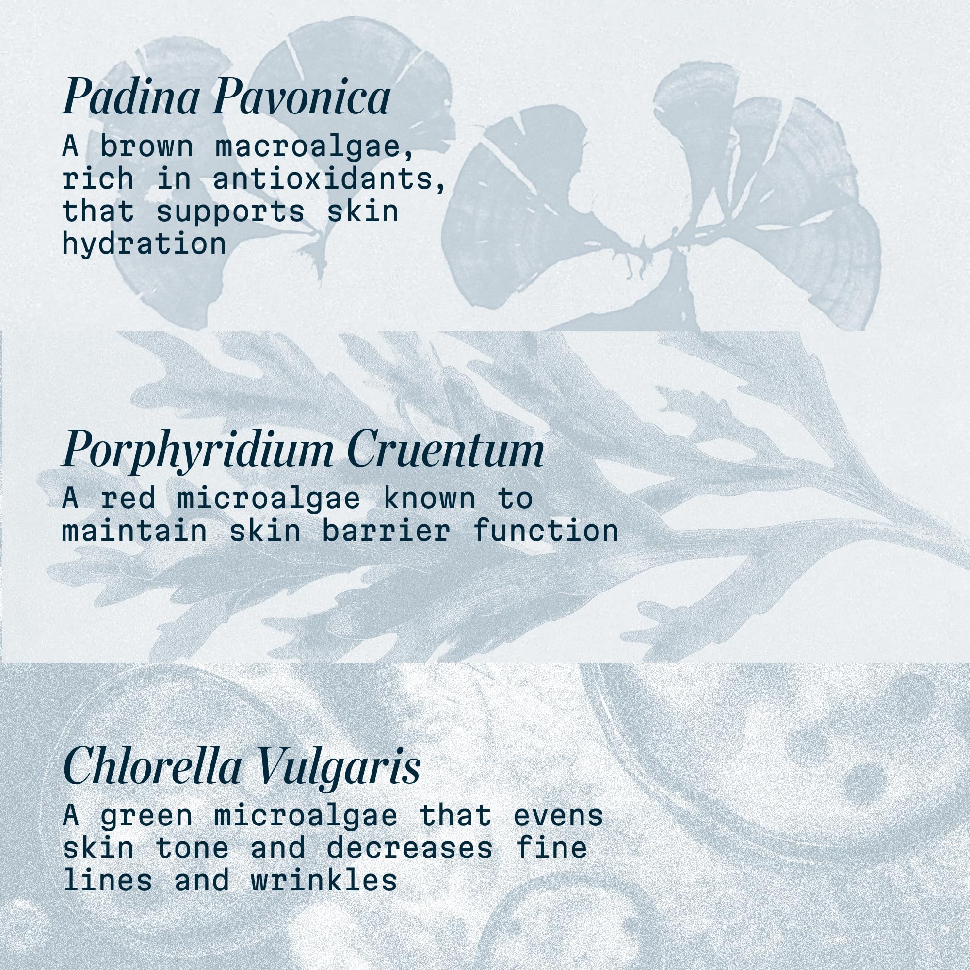 ELEMIS Pro-Collagen Marine Cream Anti-Wrinkle Daily Face Moisturising Lotion 7