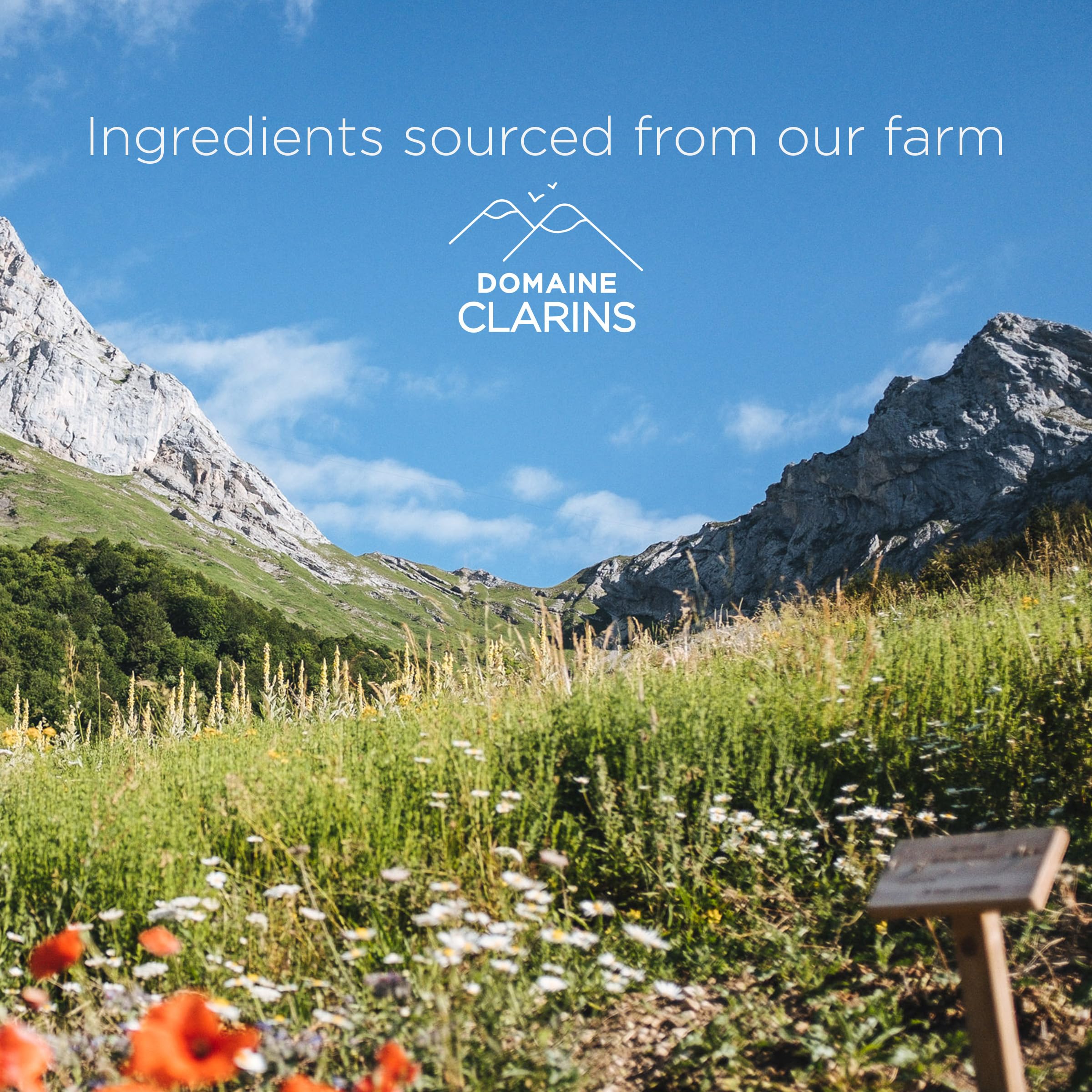 Clarins One-Step Sanftes Peeling-Reinigungsgel 125 ml | 3-in-1 Make-up-Entferner 8