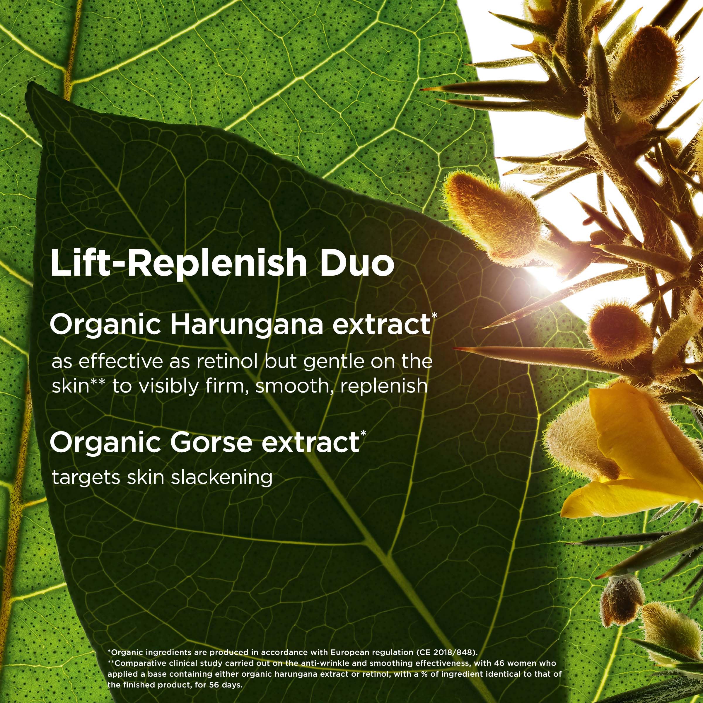 CLARINS Super Restorative Night Cream for All Skin Types, 50ml 3