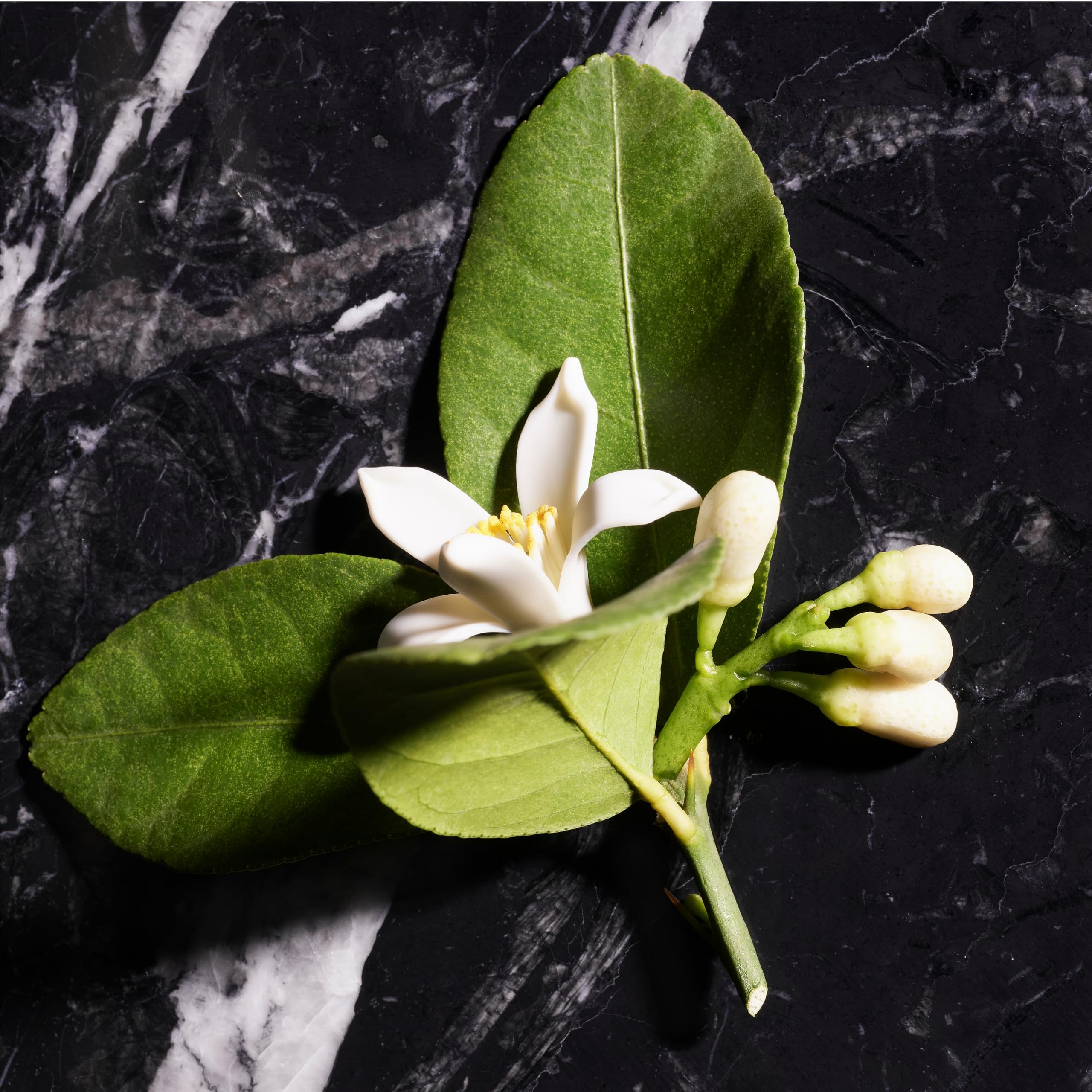 JOOP! Homme Deodorant Stick with Woody Scent and Orange Blossom Notes 4