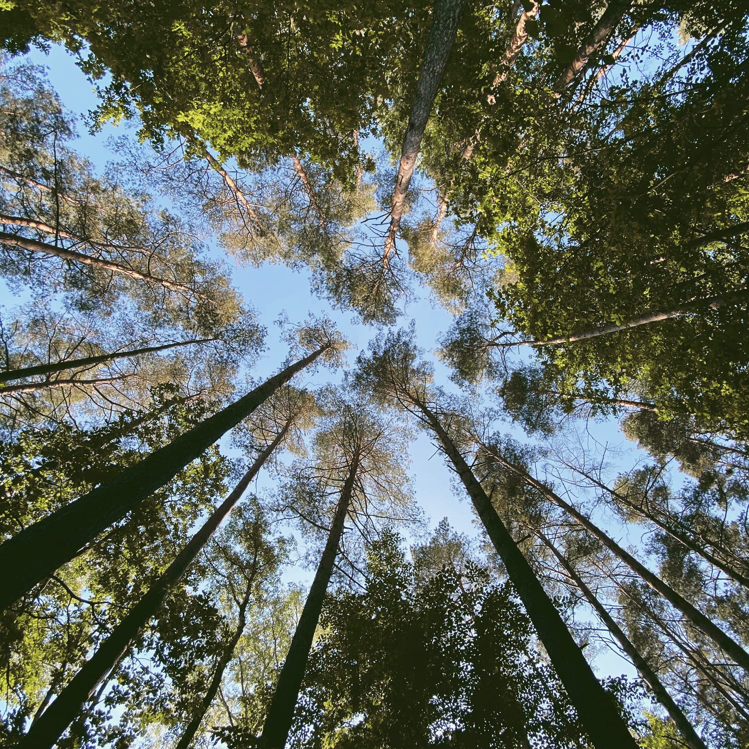 YOPE Natural Shower Gel with Myrrh, Guaiac, and Guarana Extract 4