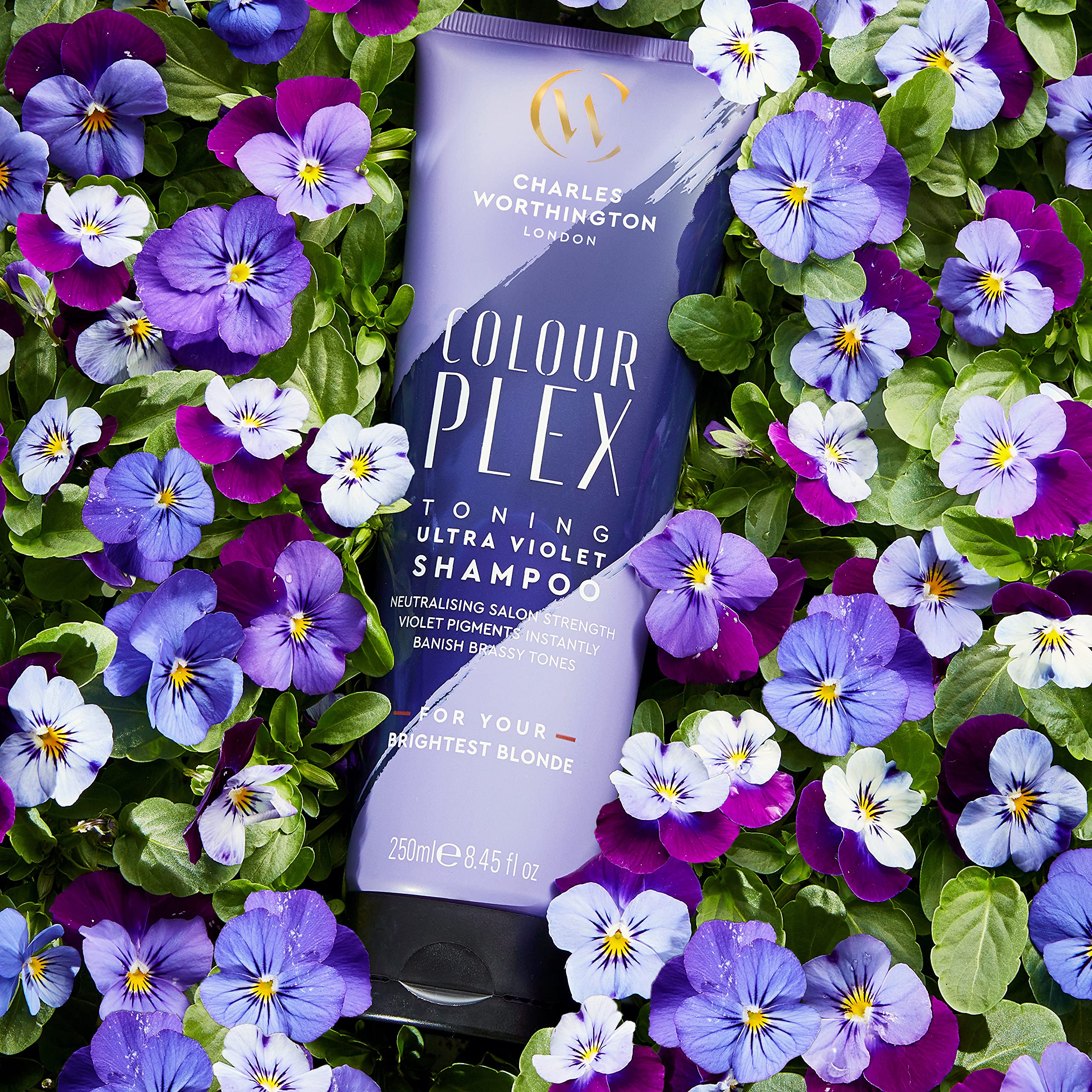 Charles Worthington Colour Plex Toning Ultra Violet Shampoo 250ml for Bright Blonde Hair 6